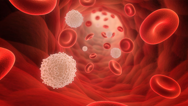 Neutropenia, Ini Penyebab, Gejala, dan Cara Mengobatinya – PAFI Rengat